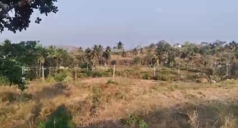  Agricultural Land 7 Acre for Sale in Kanakapura, Bangalore