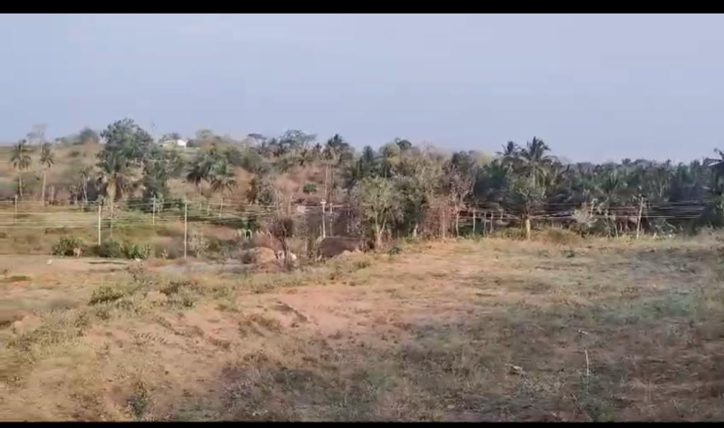  Agricultural Land 7 Acre for Sale in Kanakapura, Bangalore