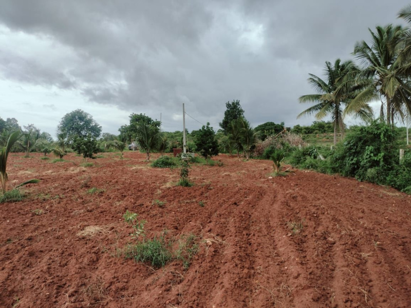  Agricultural Land 1 Acre for Sale in Ramanagara, Bangalore