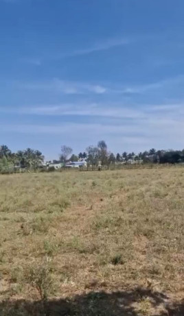  Agricultural Land 14 Acre for Sale in Doddaballapur, Bangalore