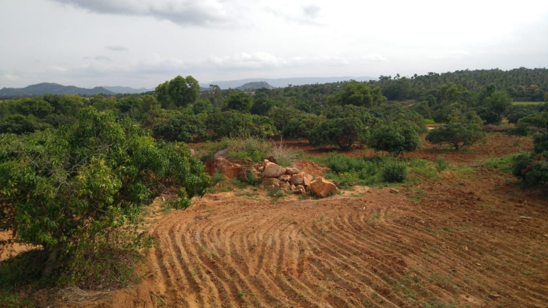  Agricultural Land 1 Acre for Sale in Ramanagara, Bangalore