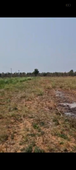  Agricultural Land for Sale in Doddaballapur, Bangalore