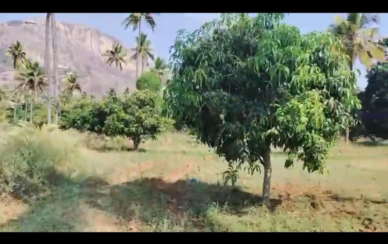  Commercial Land 2 Acre for Sale in Devanahalli, Bangalore
