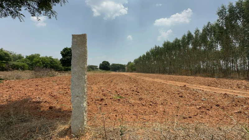  Agricultural Land 1 Acre for Sale in Doddaballapur, Bangalore
