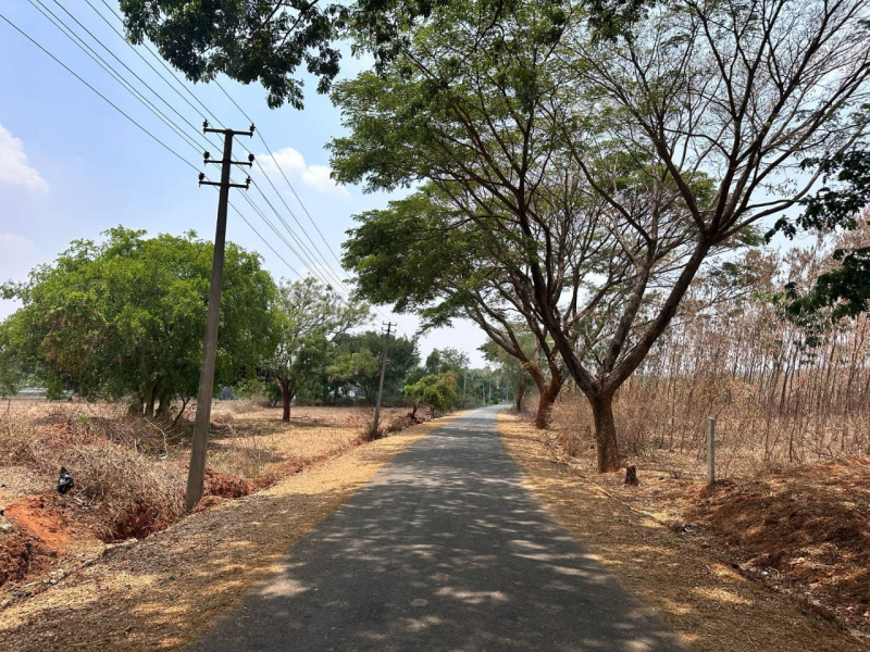  Agricultural Land 1 Acre for Sale in Doddaballapur, Bangalore