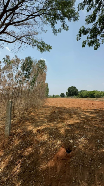  Agricultural Land 1 Acre for Sale in Doddaballapur, Bangalore