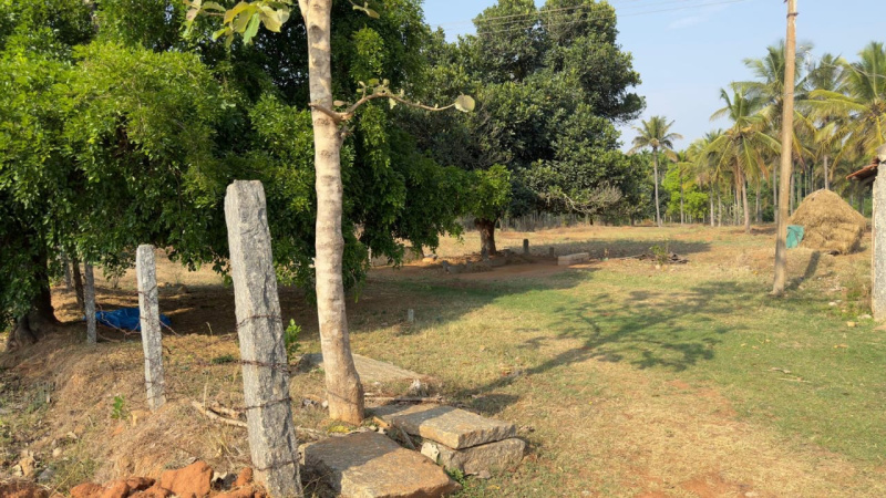  Agricultural Land 5 Acre for Sale in Nelamangala, Bangalore