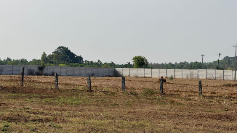  Agricultural Land 5 Acre for Sale in Nelamangala, Bangalore