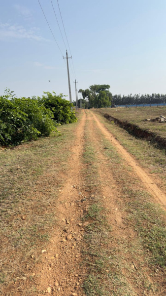  Agricultural Land 5 Acre for Sale in Nelamangala, Bangalore