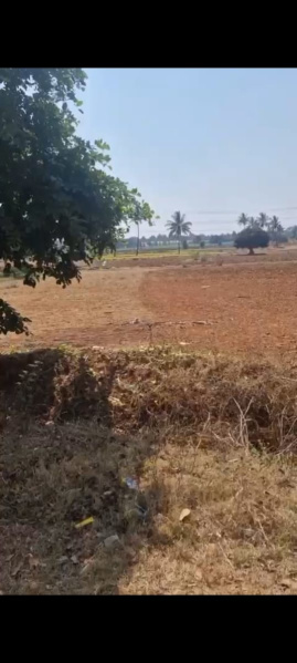 Agricultural Land 12 Guntha for Sale in Doddaballapur, Bangalore