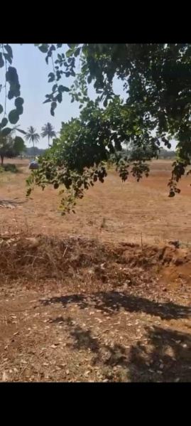  Agricultural Land 12 Guntha for Sale in Doddaballapur, Bangalore