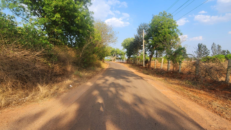  Agricultural Land 26 Acre for Sale in Kuvempu Nagar, Kolar