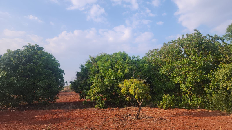  Agricultural Land 26 Acre for Sale in Kuvempu Nagar, Kolar