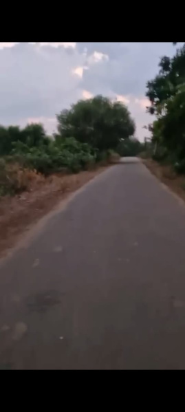  Agricultural Land 1 Acre for Sale in Gauribidanur, Bangalore