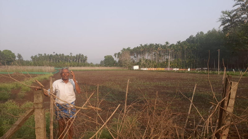  Agricultural Land 1 Acre for Sale in Kadur, Chikmagalur