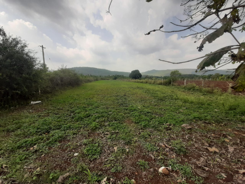  Agricultural Land 18 Guntha for Sale in Ramanahalli, Chikmagalur