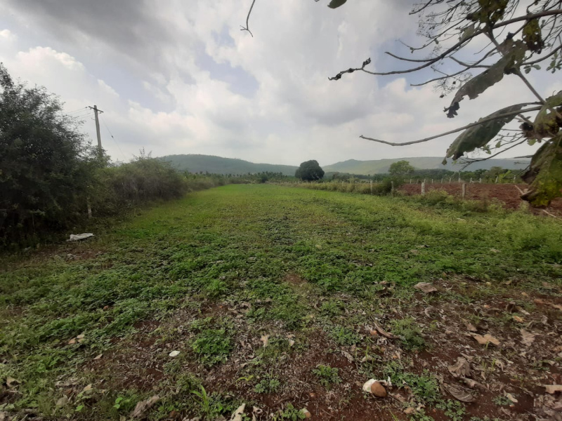  Agricultural Land 18 Guntha for Sale in Ramanahalli, Chikmagalur