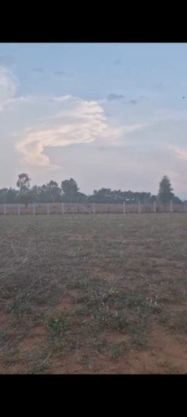  Agricultural Land 1 Acre for Sale in Doddaballapur, Bangalore