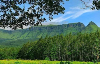  Agricultural Land for Sale in KHB Colony, Chikmagalur