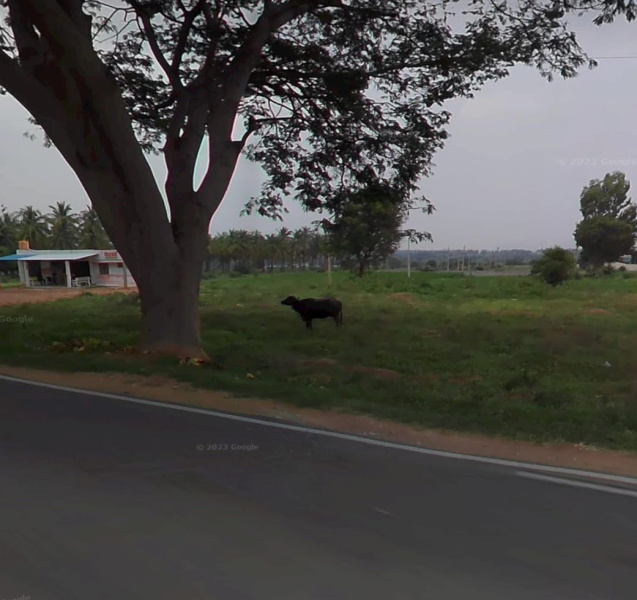  Commercial Land 4 Acre for Sale in Devanahalli, Bangalore