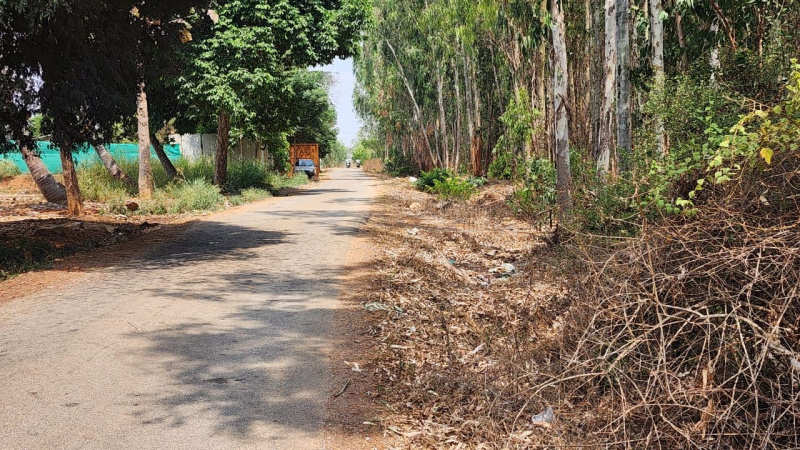  Agricultural Land 1 Acre for Sale in Nandi Hills, Bangalore
