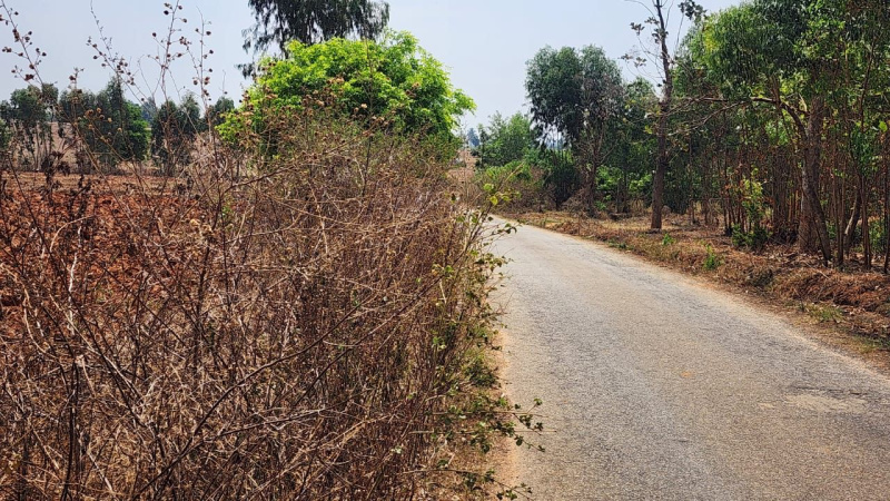  Agricultural Land 1 Acre for Sale in Nandi Hills, Bangalore
