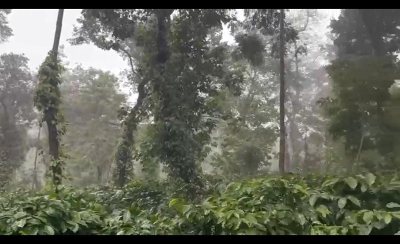  Agricultural Land 21 Guntha for Sale in Doddaballapur, Bangalore
