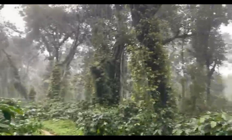  Agricultural Land 21 Guntha for Sale in Doddaballapur, Bangalore
