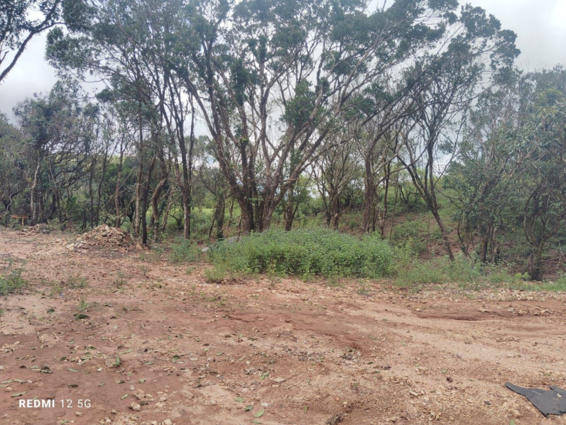  Agricultural Land 4 Acre for Sale in Mudigere, Chikmagalur