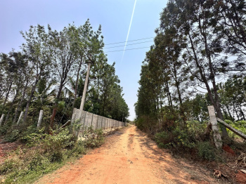  Agricultural Land for Sale in Nandi Hills, Bangalore