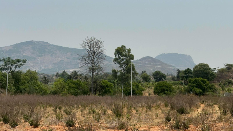  Agricultural Land 1 Guntha for Sale in Nandi Hills, Bangalore