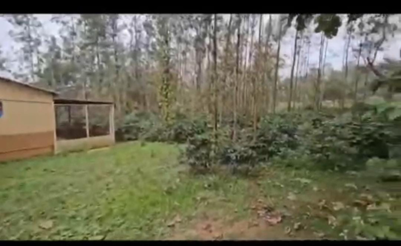  Agricultural Land 37 Guntha for Sale in Belur Hassan