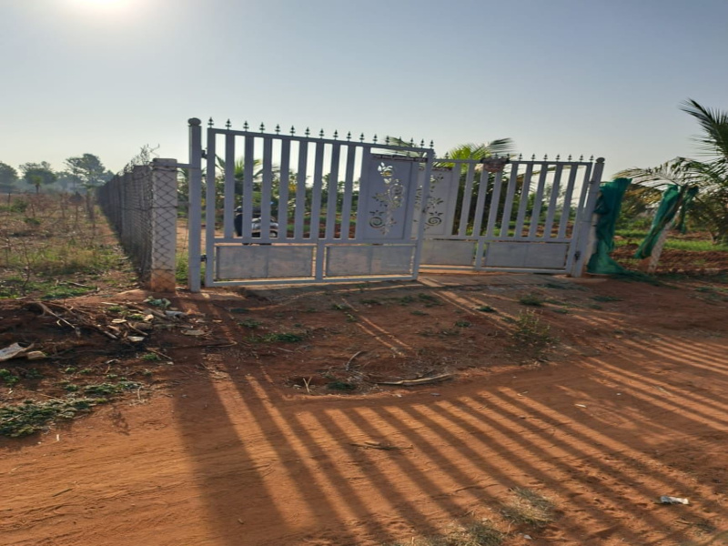  Agricultural Land 1 Acre for Sale in Nelamangala, Bangalore