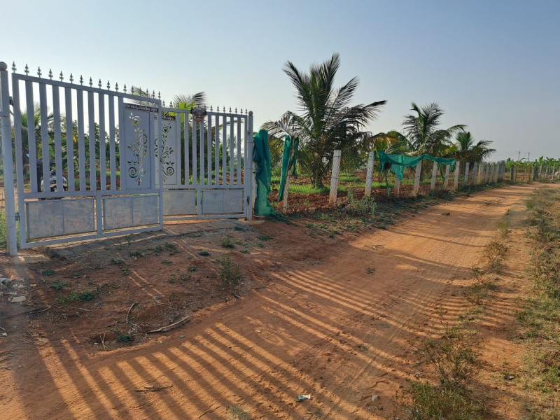  Agricultural Land 1 Acre for Sale in Nelamangala, Bangalore