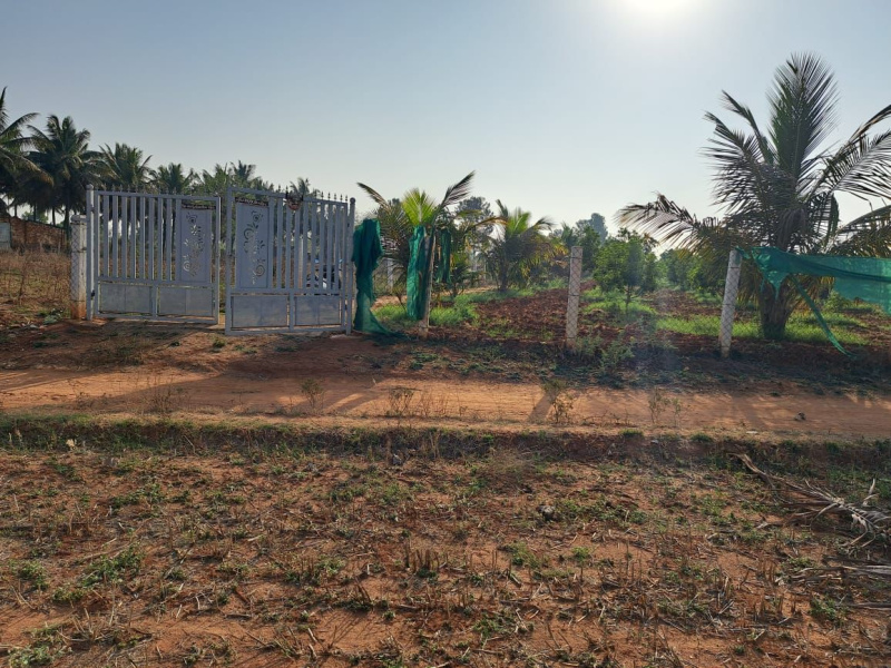  Agricultural Land 1 Acre for Sale in Nelamangala, Bangalore