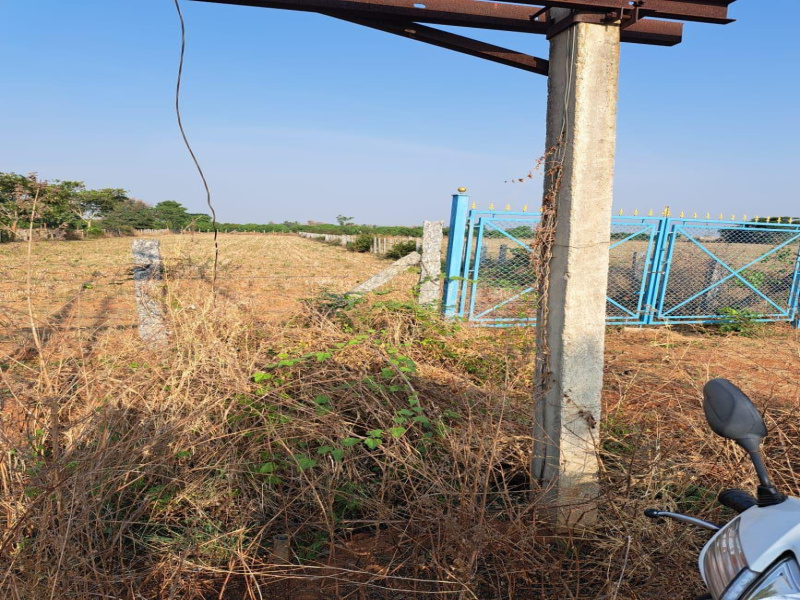  Agricultural Land 1 Acre for Sale in Doddaballapur, Bangalore