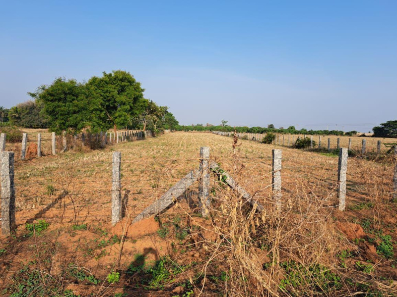  Agricultural Land 1 Acre for Sale in Doddaballapur, Bangalore