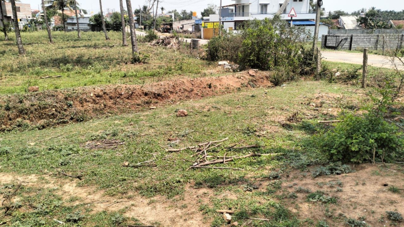 Agricultural Land 30 Guntha for Sale in Billekahalli, Bangalore