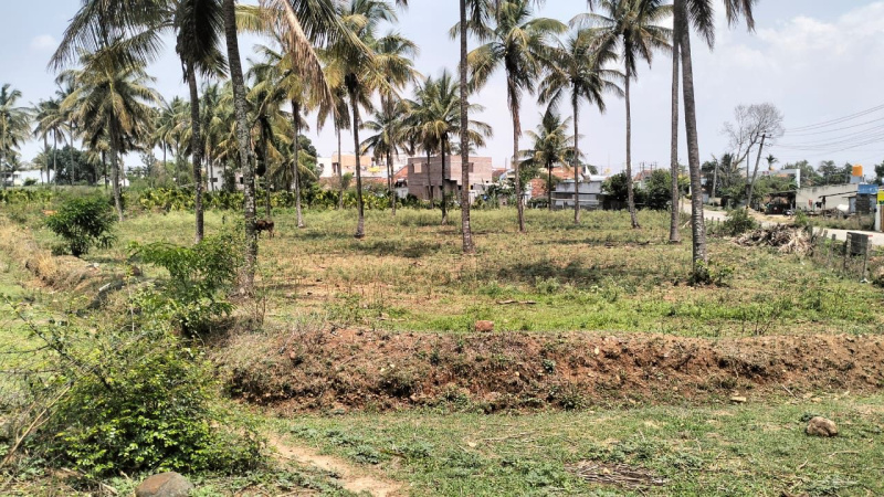  Agricultural Land 30 Guntha for Sale in Billekahalli, Bangalore
