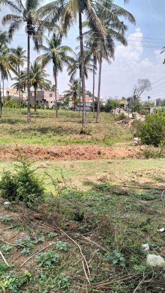 Agricultural Land 30 Guntha for Sale in Billekahalli, Bangalore