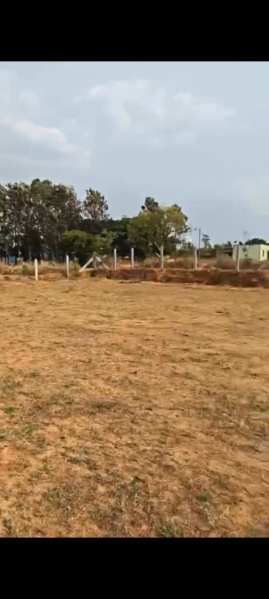  Agricultural Land 2 Acre for Sale in Doddaballapur, Bangalore
