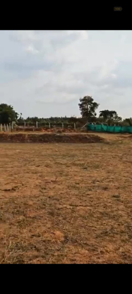  Agricultural Land 2 Acre for Sale in Doddaballapur, Bangalore