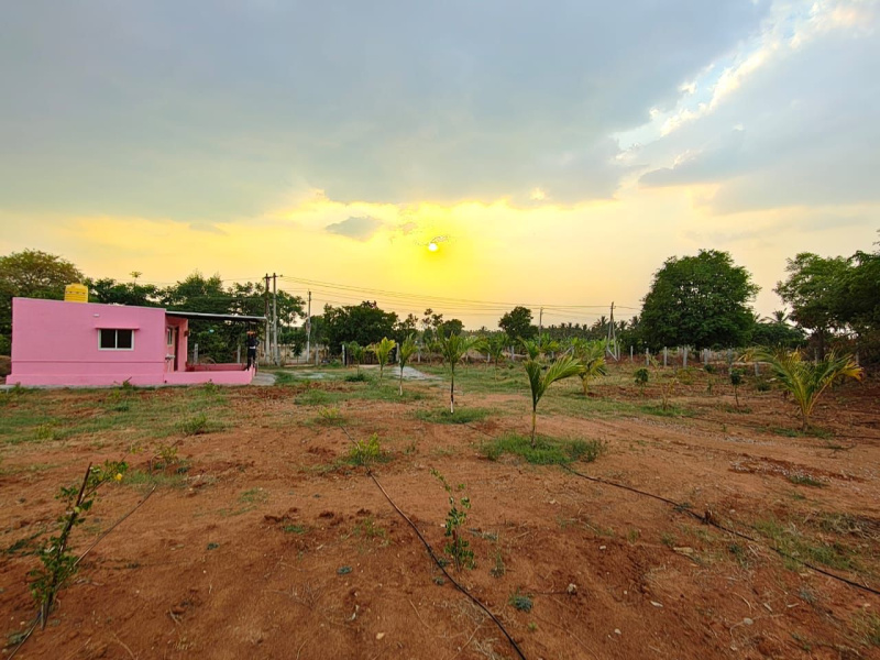  Agricultural Land 30 Guntha for Sale in Doddaballapur, Bangalore