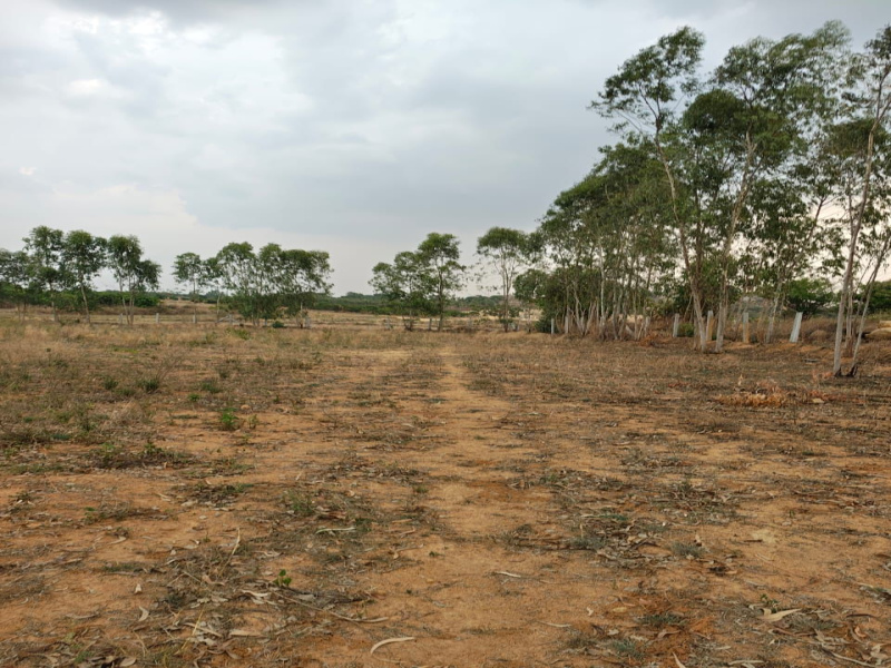  Agricultural Land 1 Acre for Sale in Doddaballapur, Bangalore