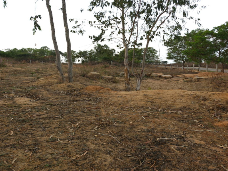  Agricultural Land 1 Acre for Sale in Doddaballapur, Bangalore