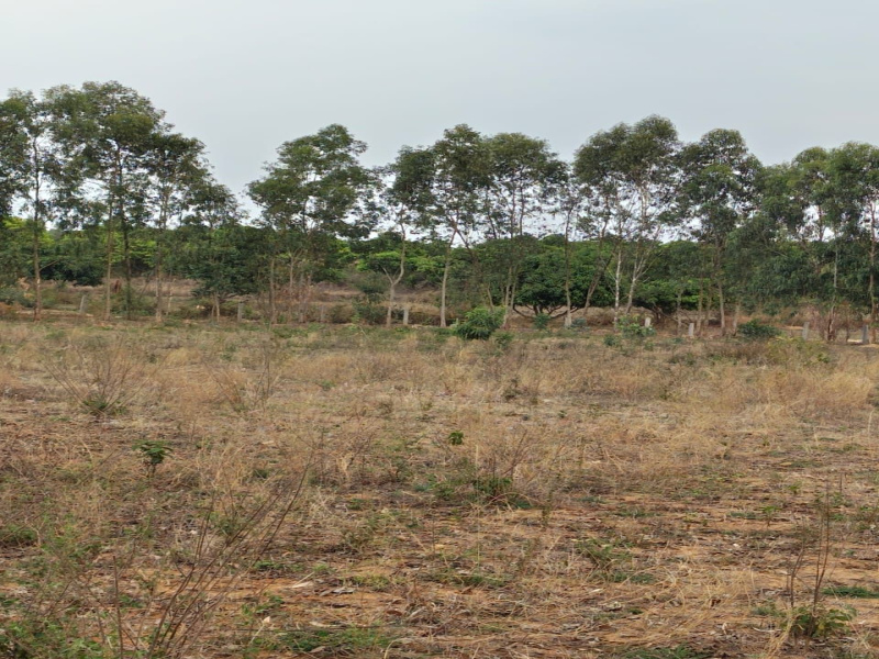  Agricultural Land 1 Acre for Sale in Doddaballapur, Bangalore