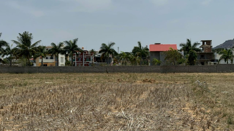  Agricultural Land 8439 Sq.ft. for Sale in Manchenahalli, ChikBallapur