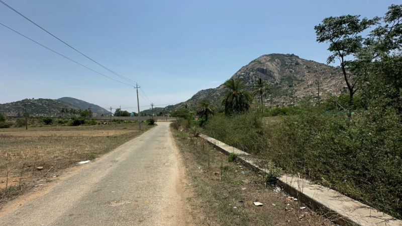  Agricultural Land 8439 Sq.ft. for Sale in Manchenahalli, ChikBallapur