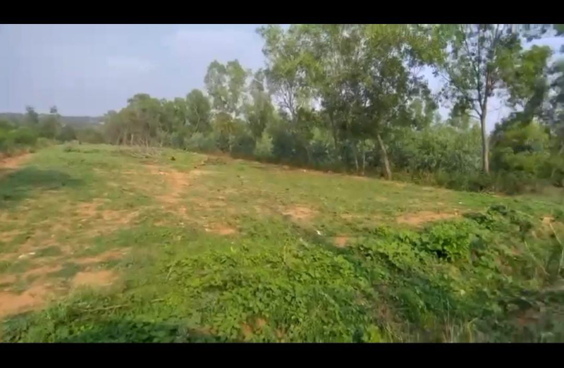  Agricultural Land 31 Guntha for Sale in Kanakapura, Bangalore
