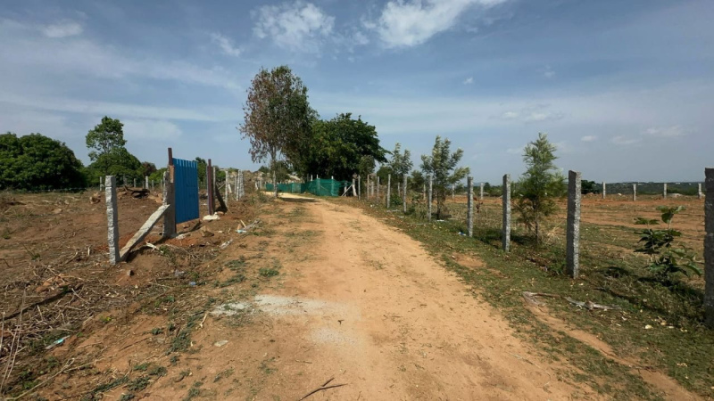  Agricultural Land 5 Acre for Sale in Doddaballapur, Bangalore